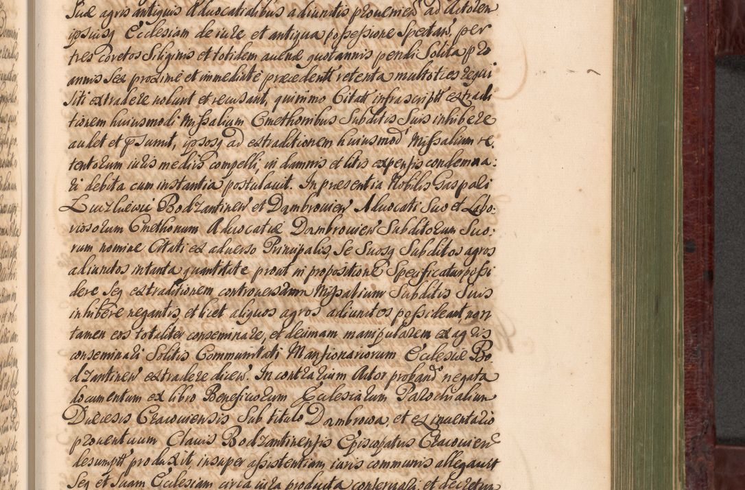 Zdjęcie nr 808 dla obiektu archiwalnego: Acta actorum episcopalium R. D. Andreae Trzebicki, episcopi Cracoviensis et ducis Severiae a die 29 Maii 1676 ad 1678 inclusive. Volumen VII