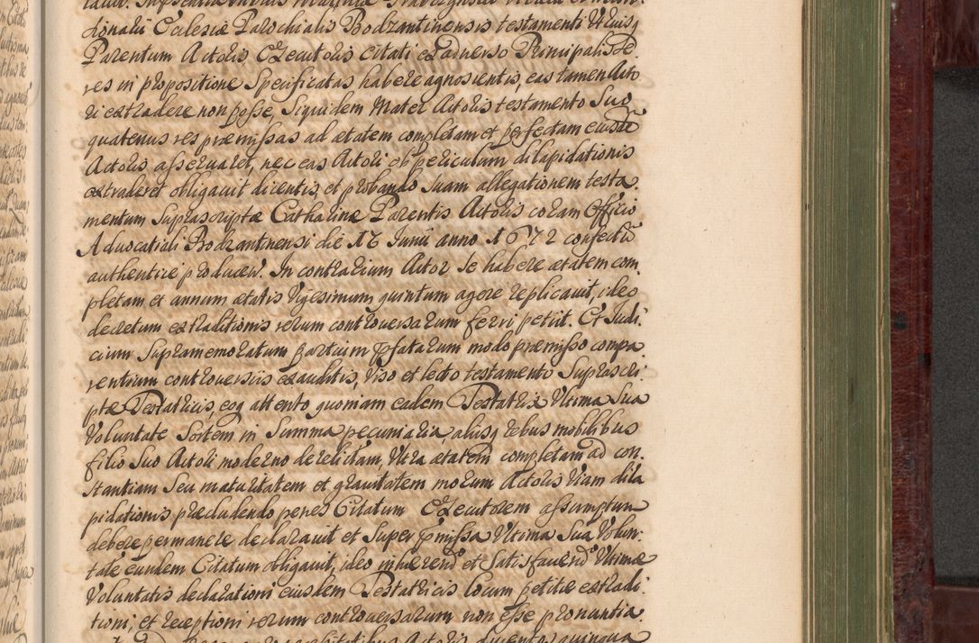 Zdjęcie nr 976 dla obiektu archiwalnego: Acta actorum episcopalium R. D. Andreae Trzebicki, episcopi Cracoviensis et ducis Severiae a die 29 Maii 1676 ad 1678 inclusive. Volumen VII