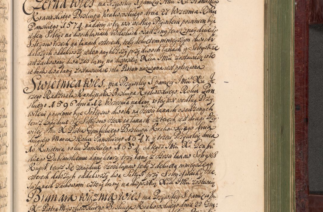 Zdjęcie nr 954 dla obiektu archiwalnego: Acta actorum episcopalium R. D. Andreae Trzebicki, episcopi Cracoviensis et ducis Severiae a die 29 Maii 1676 ad 1678 inclusive. Volumen VII