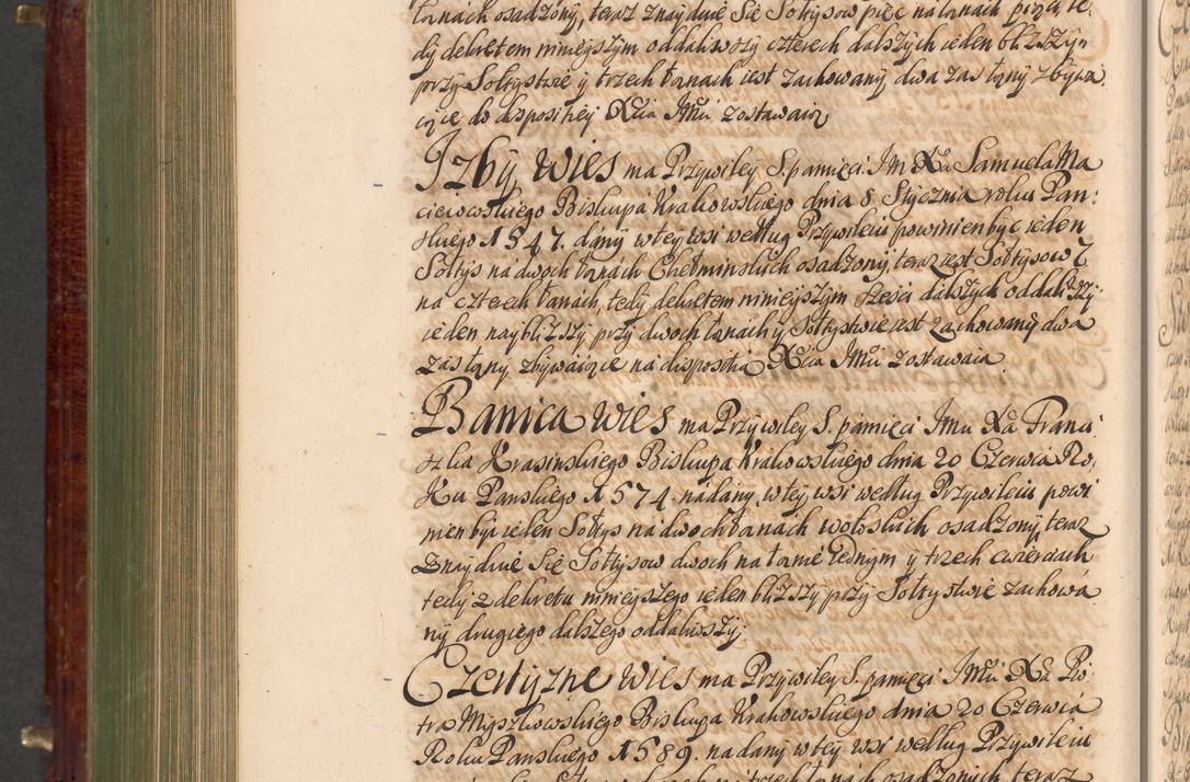 Zdjęcie nr 953 dla obiektu archiwalnego: Acta actorum episcopalium R. D. Andreae Trzebicki, episcopi Cracoviensis et ducis Severiae a die 29 Maii 1676 ad 1678 inclusive. Volumen VII