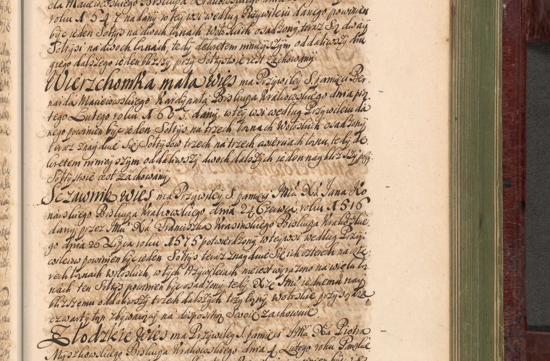 Zdjęcie nr 950 dla obiektu archiwalnego: Acta actorum episcopalium R. D. Andreae Trzebicki, episcopi Cracoviensis et ducis Severiae a die 29 Maii 1676 ad 1678 inclusive. Volumen VII