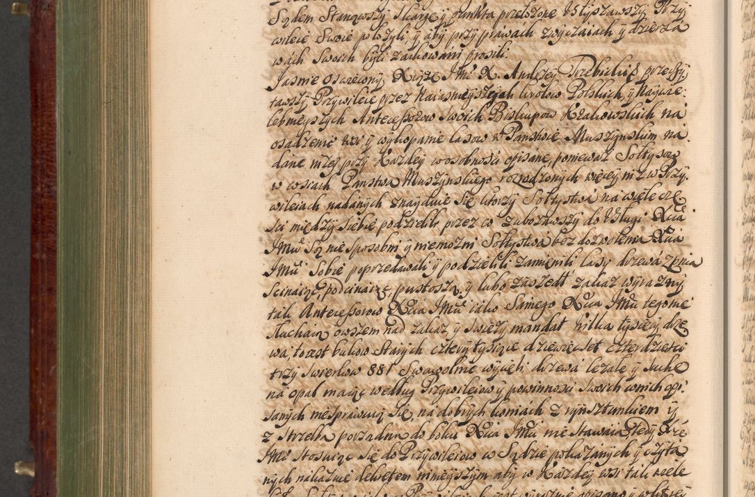 Zdjęcie nr 945 dla obiektu archiwalnego: Acta actorum episcopalium R. D. Andreae Trzebicki, episcopi Cracoviensis et ducis Severiae a die 29 Maii 1676 ad 1678 inclusive. Volumen VII