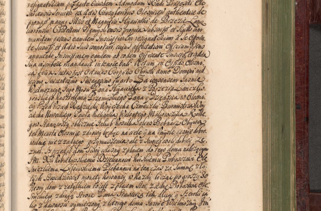 Zdjęcie nr 908 dla obiektu archiwalnego: Acta actorum episcopalium R. D. Andreae Trzebicki, episcopi Cracoviensis et ducis Severiae a die 29 Maii 1676 ad 1678 inclusive. Volumen VII