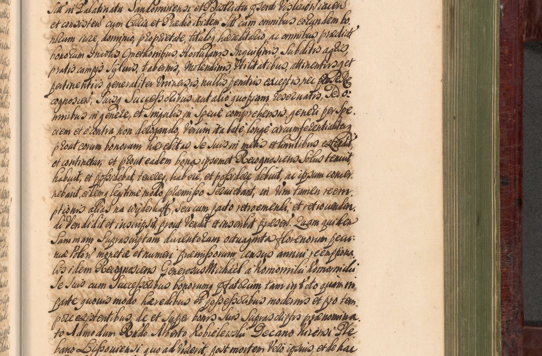 Zdjęcie nr 904 dla obiektu archiwalnego: Acta actorum episcopalium R. D. Andreae Trzebicki, episcopi Cracoviensis et ducis Severiae a die 29 Maii 1676 ad 1678 inclusive. Volumen VII