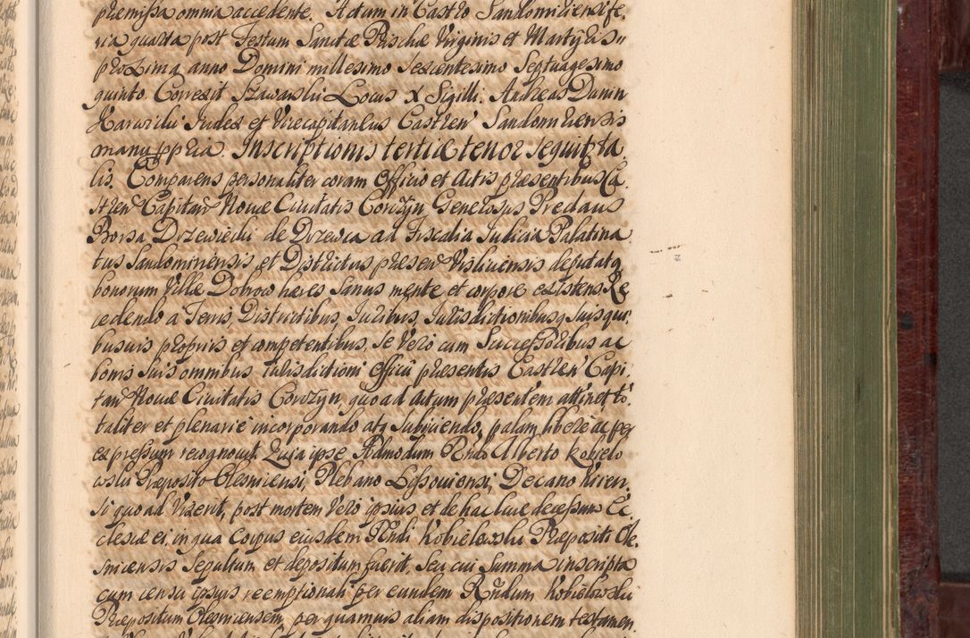Zdjęcie nr 898 dla obiektu archiwalnego: Acta actorum episcopalium R. D. Andreae Trzebicki, episcopi Cracoviensis et ducis Severiae a die 29 Maii 1676 ad 1678 inclusive. Volumen VII