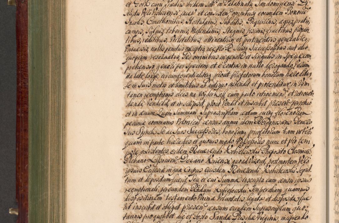 Zdjęcie nr 895 dla obiektu archiwalnego: Acta actorum episcopalium R. D. Andreae Trzebicki, episcopi Cracoviensis et ducis Severiae a die 29 Maii 1676 ad 1678 inclusive. Volumen VII