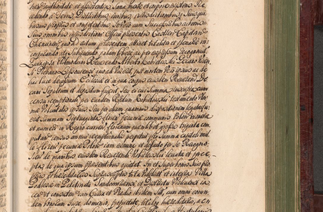 Zdjęcie nr 890 dla obiektu archiwalnego: Acta actorum episcopalium R. D. Andreae Trzebicki, episcopi Cracoviensis et ducis Severiae a die 29 Maii 1676 ad 1678 inclusive. Volumen VII