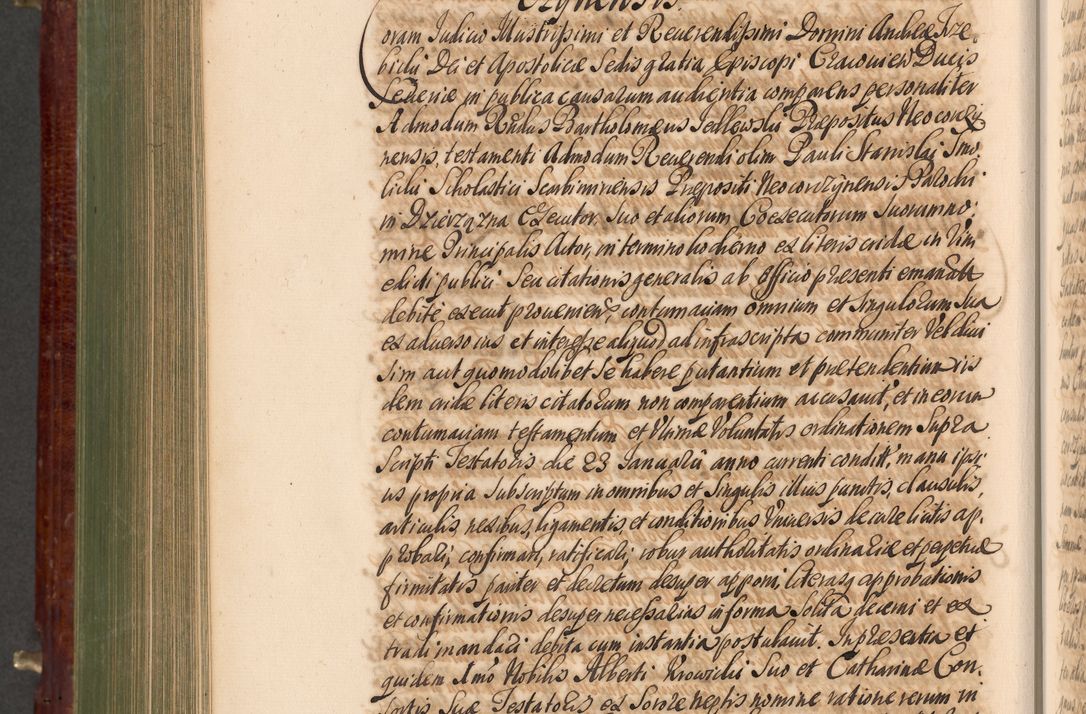 Zdjęcie nr 871 dla obiektu archiwalnego: Acta actorum episcopalium R. D. Andreae Trzebicki, episcopi Cracoviensis et ducis Severiae a die 29 Maii 1676 ad 1678 inclusive. Volumen VII