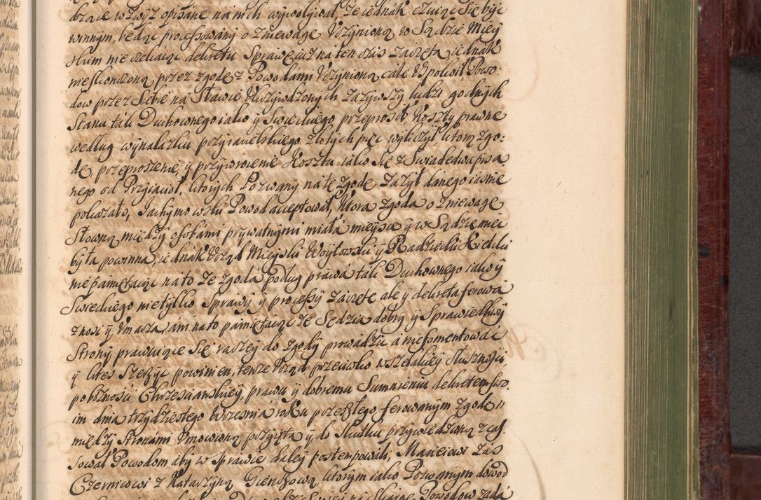 Zdjęcie nr 810 dla obiektu archiwalnego: Acta actorum episcopalium R. D. Andreae Trzebicki, episcopi Cracoviensis et ducis Severiae a die 29 Maii 1676 ad 1678 inclusive. Volumen VII