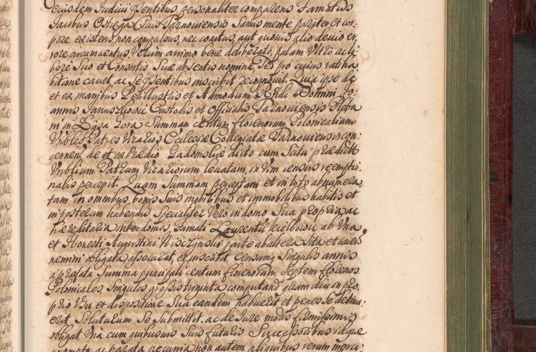 Zdjęcie nr 1026 dla obiektu archiwalnego: Acta actorum episcopalium R. D. Andreae Trzebicki, episcopi Cracoviensis et ducis Severiae a die 29 Maii 1676 ad 1678 inclusive. Volumen VII