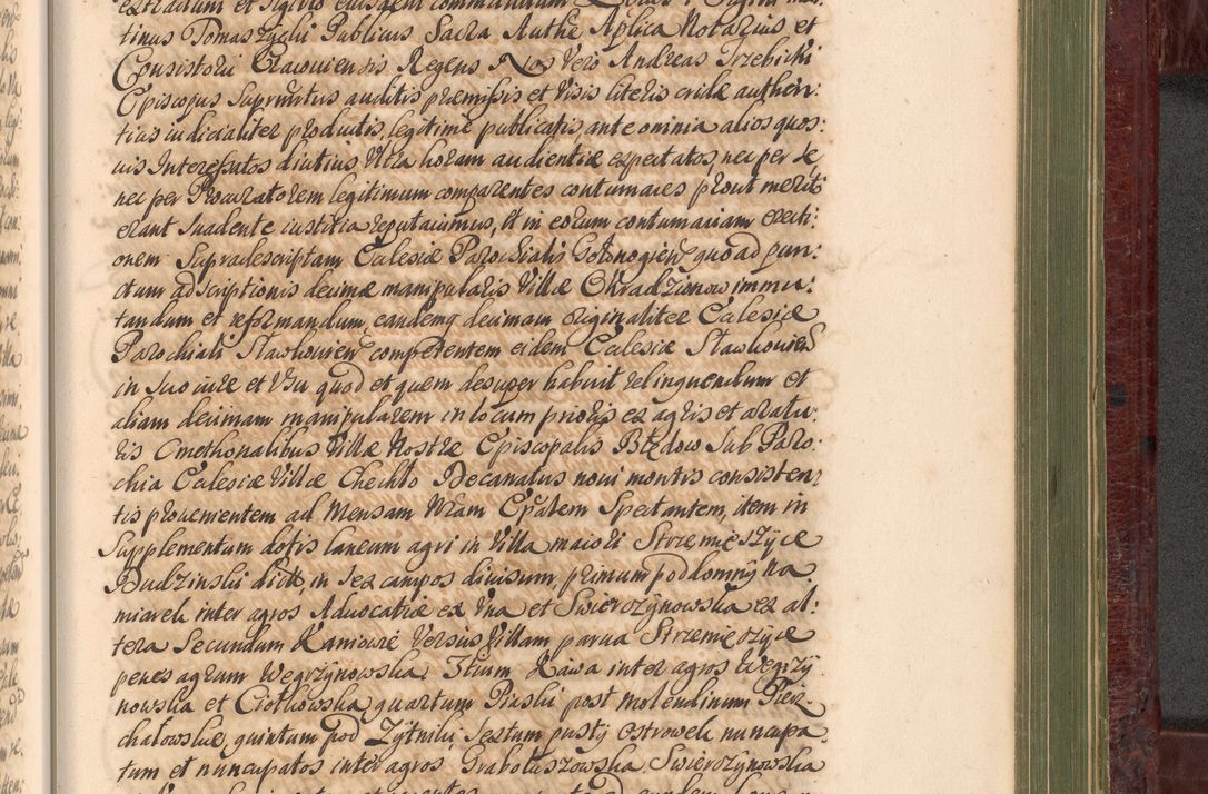 Zdjęcie nr 1124 dla obiektu archiwalnego: Acta actorum episcopalium R. D. Andreae Trzebicki, episcopi Cracoviensis et ducis Severiae a die 29 Maii 1676 ad 1678 inclusive. Volumen VII