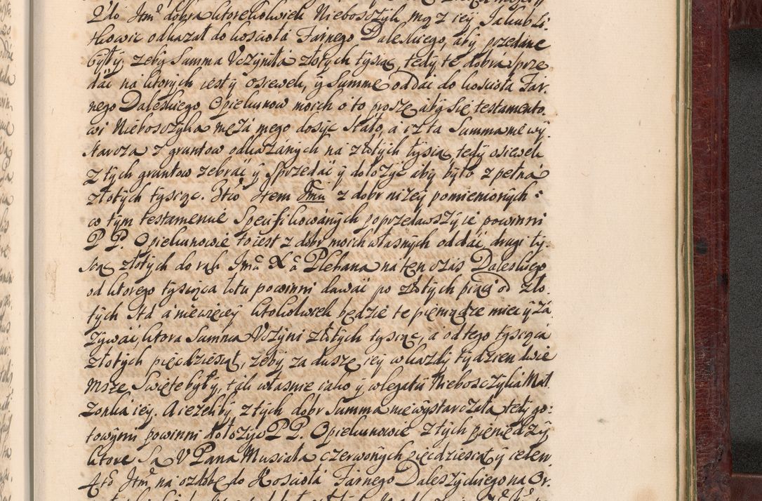 Zdjęcie nr 1460 dla obiektu archiwalnego: Acta actorum episcopalium R. D. Andreae Trzebicki, episcopi Cracoviensis et ducis Severiae a die 29 Maii 1676 ad 1678 inclusive. Volumen VII