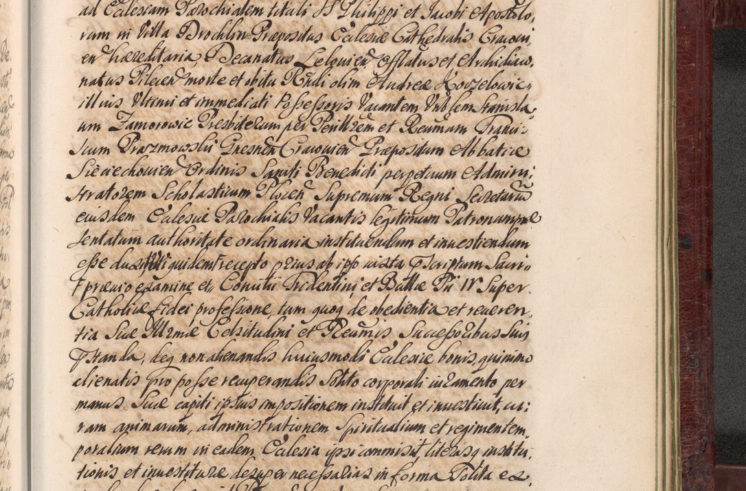 Zdjęcie nr 1454 dla obiektu archiwalnego: Acta actorum episcopalium R. D. Andreae Trzebicki, episcopi Cracoviensis et ducis Severiae a die 29 Maii 1676 ad 1678 inclusive. Volumen VII