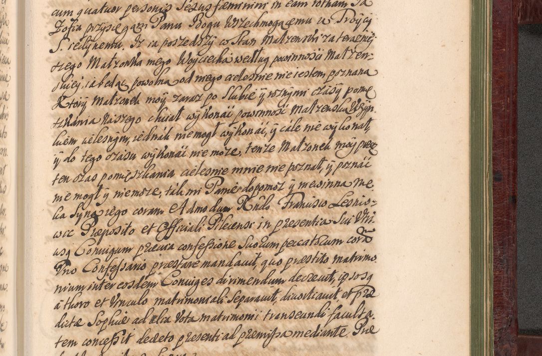 Zdjęcie nr 1336 dla obiektu archiwalnego: Acta actorum episcopalium R. D. Andreae Trzebicki, episcopi Cracoviensis et ducis Severiae a die 29 Maii 1676 ad 1678 inclusive. Volumen VII
