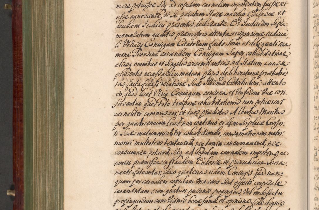 Zdjęcie nr 1335 dla obiektu archiwalnego: Acta actorum episcopalium R. D. Andreae Trzebicki, episcopi Cracoviensis et ducis Severiae a die 29 Maii 1676 ad 1678 inclusive. Volumen VII