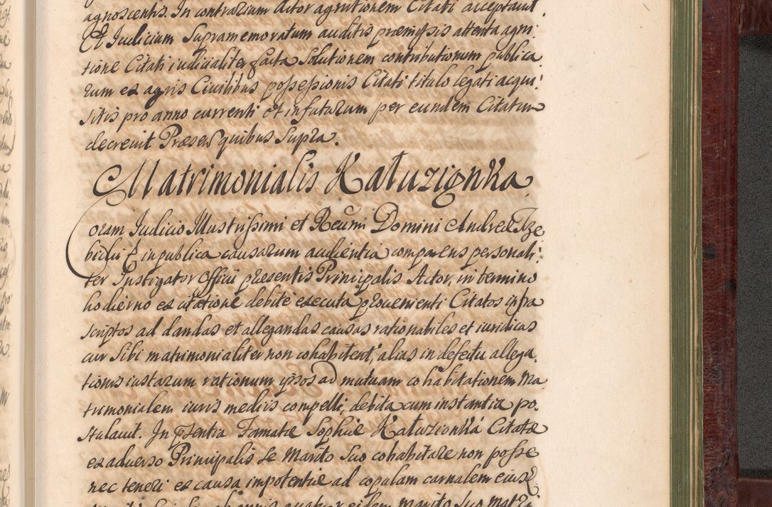 Zdjęcie nr 1334 dla obiektu archiwalnego: Acta actorum episcopalium R. D. Andreae Trzebicki, episcopi Cracoviensis et ducis Severiae a die 29 Maii 1676 ad 1678 inclusive. Volumen VII