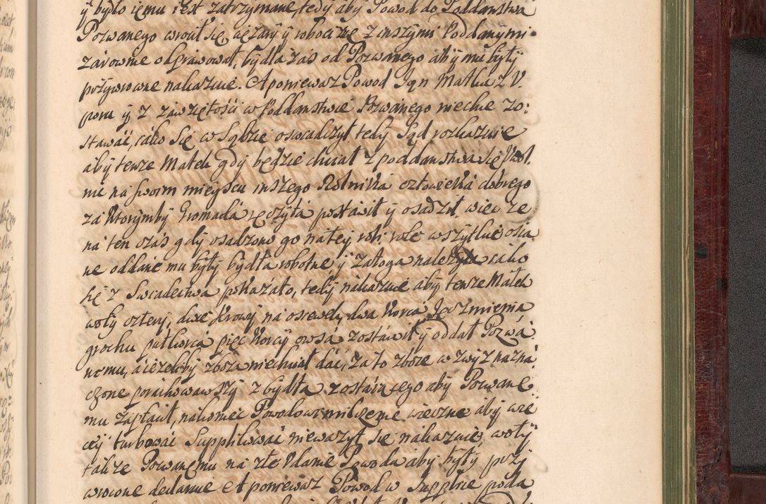 Zdjęcie nr 1326 dla obiektu archiwalnego: Acta actorum episcopalium R. D. Andreae Trzebicki, episcopi Cracoviensis et ducis Severiae a die 29 Maii 1676 ad 1678 inclusive. Volumen VII