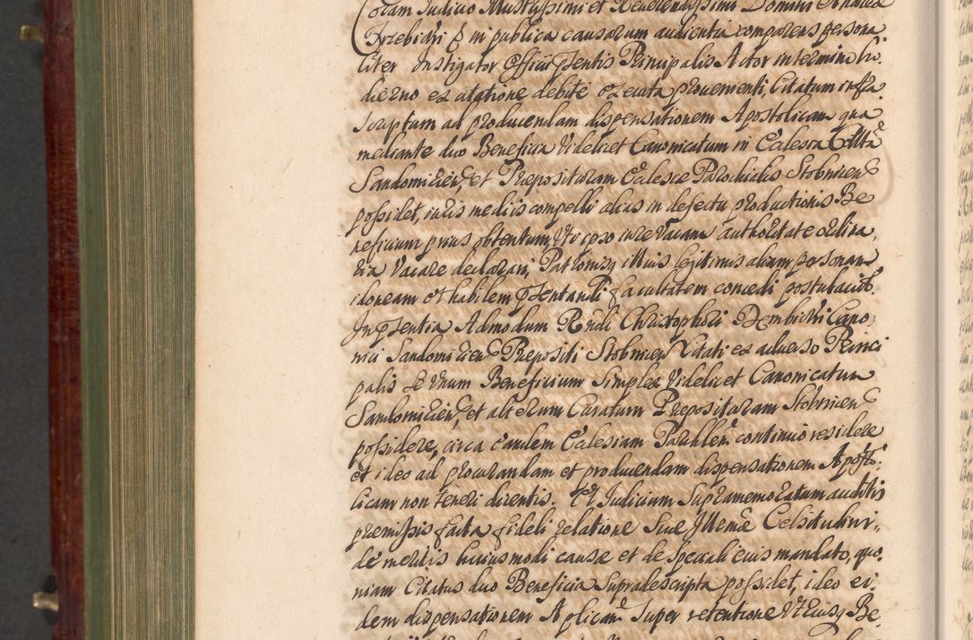 Zdjęcie nr 1313 dla obiektu archiwalnego: Acta actorum episcopalium R. D. Andreae Trzebicki, episcopi Cracoviensis et ducis Severiae a die 29 Maii 1676 ad 1678 inclusive. Volumen VII