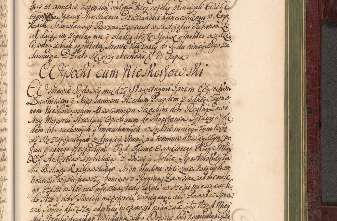 Zdjęcie nr 1206 dla obiektu archiwalnego: Acta actorum episcopalium R. D. Andreae Trzebicki, episcopi Cracoviensis et ducis Severiae a die 29 Maii 1676 ad 1678 inclusive. Volumen VII