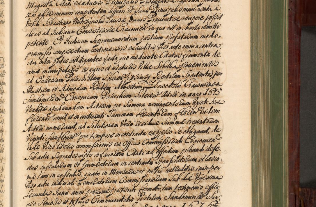 Zdjęcie nr 192 dla obiektu archiwalnego: Acta actorum episcopalium R. D. Andreae Trzebicki, episcopi Cracoviensis et ducis Severiae de 1679. Volumen VIII