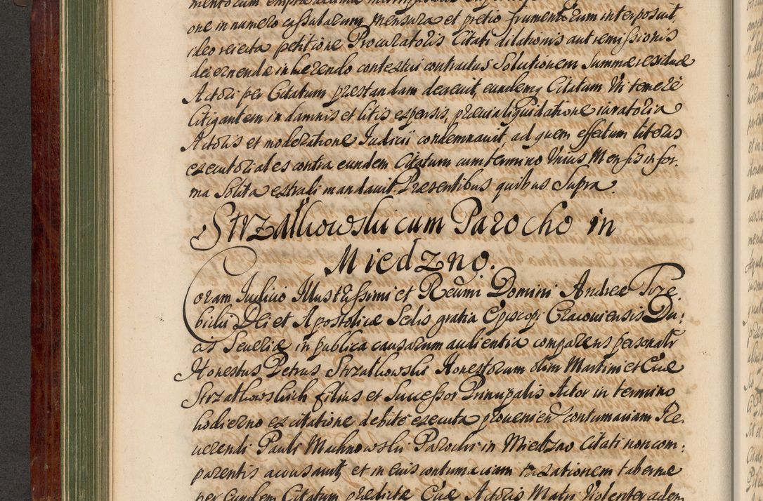 Zdjęcie nr 193 dla obiektu archiwalnego: Acta actorum episcopalium R. D. Andreae Trzebicki, episcopi Cracoviensis et ducis Severiae de 1679. Volumen VIII