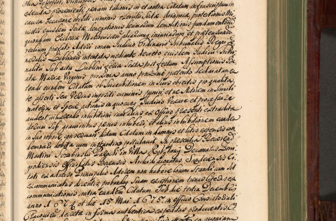 Zdjęcie nr 196 dla obiektu archiwalnego: Acta actorum episcopalium R. D. Andreae Trzebicki, episcopi Cracoviensis et ducis Severiae de 1679. Volumen VIII