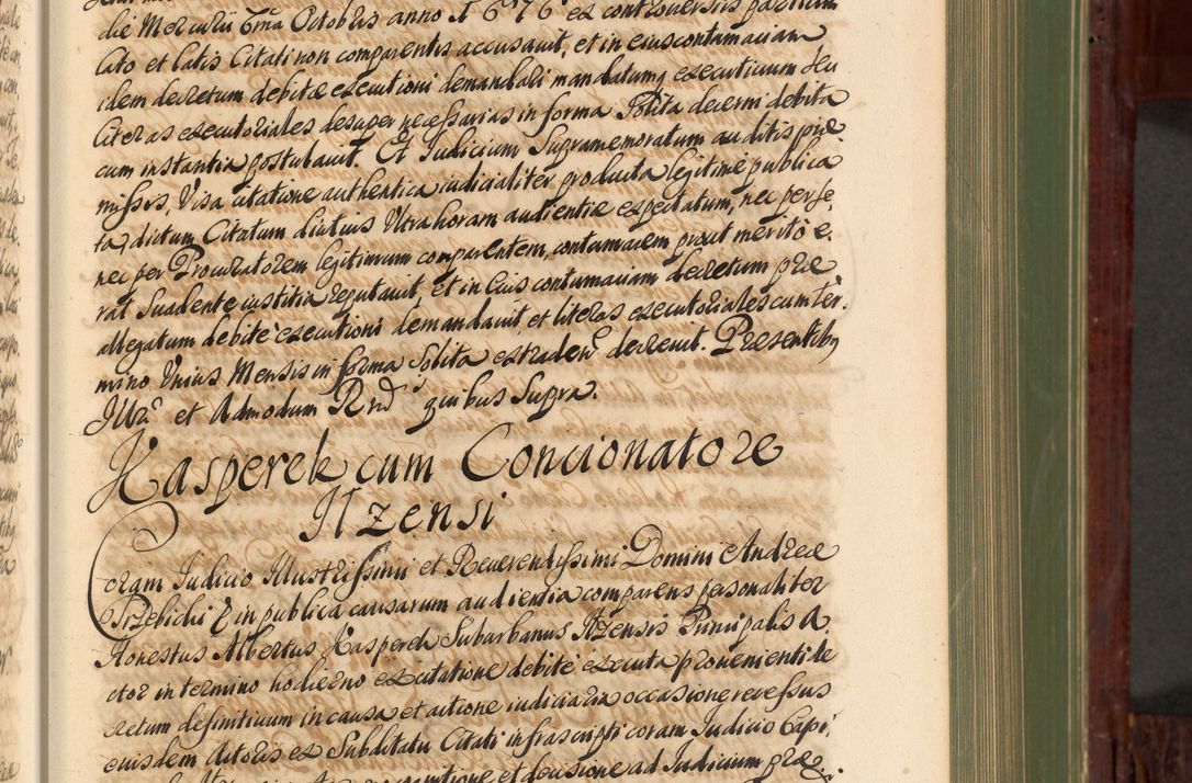 Zdjęcie nr 190 dla obiektu archiwalnego: Acta actorum episcopalium R. D. Andreae Trzebicki, episcopi Cracoviensis et ducis Severiae de 1679. Volumen VIII