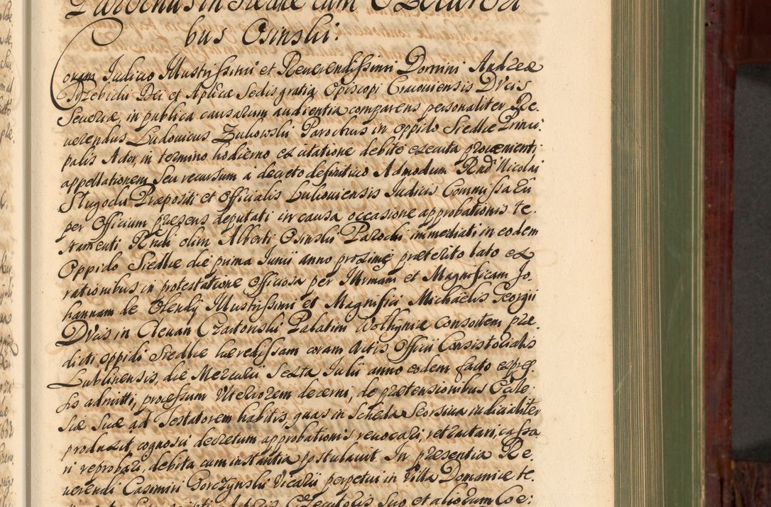 Zdjęcie nr 188 dla obiektu archiwalnego: Acta actorum episcopalium R. D. Andreae Trzebicki, episcopi Cracoviensis et ducis Severiae de 1679. Volumen VIII