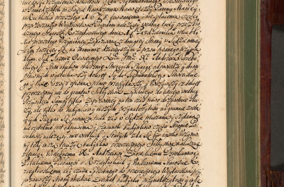 Zdjęcie nr 168 dla obiektu archiwalnego: Acta actorum episcopalium R. D. Andreae Trzebicki, episcopi Cracoviensis et ducis Severiae de 1679. Volumen VIII