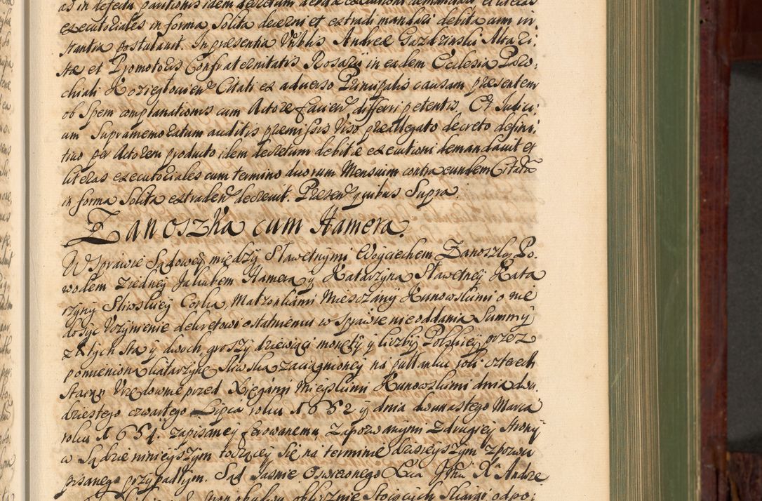 Zdjęcie nr 166 dla obiektu archiwalnego: Acta actorum episcopalium R. D. Andreae Trzebicki, episcopi Cracoviensis et ducis Severiae de 1679. Volumen VIII
