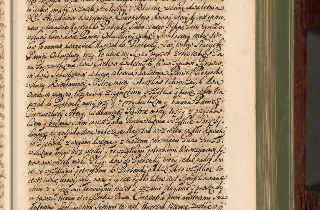 Zdjęcie nr 158 dla obiektu archiwalnego: Acta actorum episcopalium R. D. Andreae Trzebicki, episcopi Cracoviensis et ducis Severiae de 1679. Volumen VIII