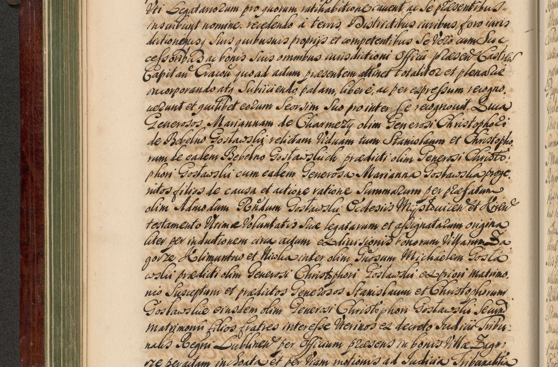 Zdjęcie nr 139 dla obiektu archiwalnego: Acta actorum episcopalium R. D. Andreae Trzebicki, episcopi Cracoviensis et ducis Severiae de 1679. Volumen VIII
