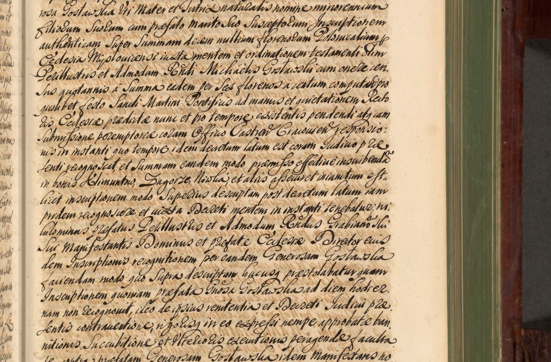 Zdjęcie nr 138 dla obiektu archiwalnego: Acta actorum episcopalium R. D. Andreae Trzebicki, episcopi Cracoviensis et ducis Severiae de 1679. Volumen VIII