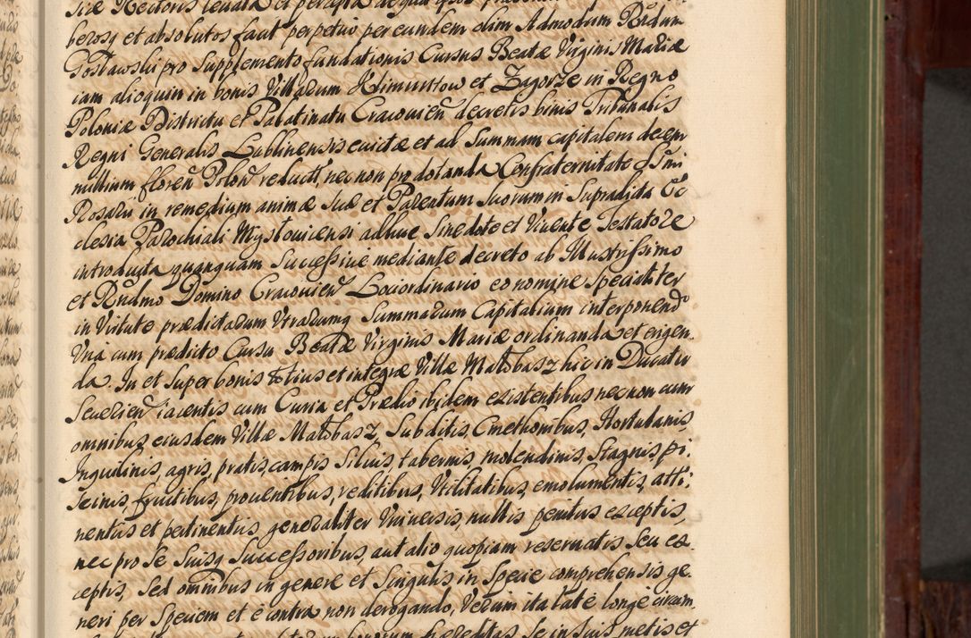 Zdjęcie nr 134 dla obiektu archiwalnego: Acta actorum episcopalium R. D. Andreae Trzebicki, episcopi Cracoviensis et ducis Severiae de 1679. Volumen VIII