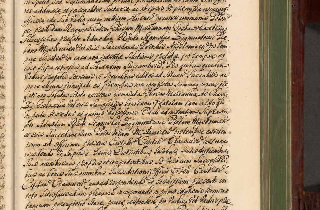 Zdjęcie nr 132 dla obiektu archiwalnego: Acta actorum episcopalium R. D. Andreae Trzebicki, episcopi Cracoviensis et ducis Severiae de 1679. Volumen VIII