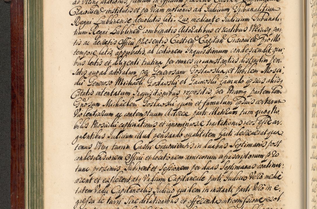 Zdjęcie nr 115 dla obiektu archiwalnego: Acta actorum episcopalium R. D. Andreae Trzebicki, episcopi Cracoviensis et ducis Severiae de 1679. Volumen VIII