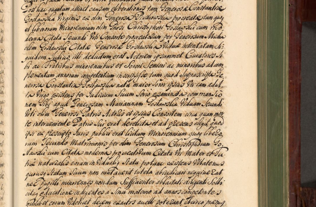 Zdjęcie nr 116 dla obiektu archiwalnego: Acta actorum episcopalium R. D. Andreae Trzebicki, episcopi Cracoviensis et ducis Severiae de 1679. Volumen VIII