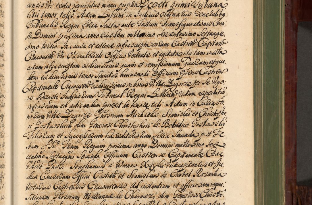 Zdjęcie nr 114 dla obiektu archiwalnego: Acta actorum episcopalium R. D. Andreae Trzebicki, episcopi Cracoviensis et ducis Severiae de 1679. Volumen VIII