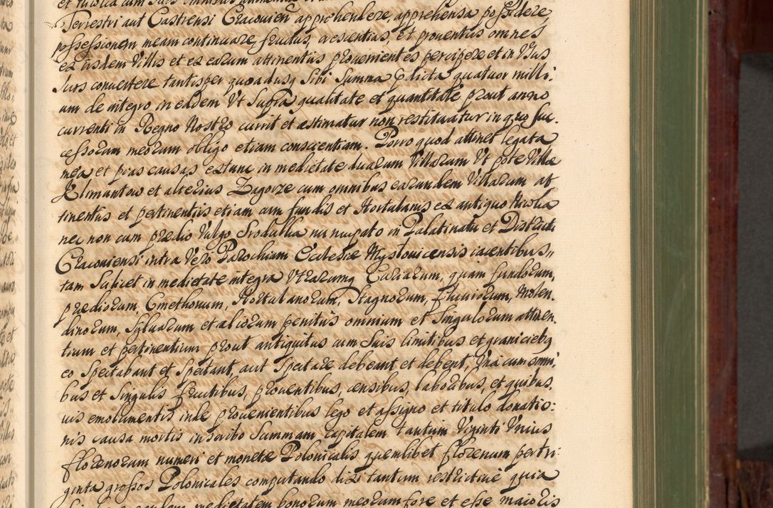 Zdjęcie nr 106 dla obiektu archiwalnego: Acta actorum episcopalium R. D. Andreae Trzebicki, episcopi Cracoviensis et ducis Severiae de 1679. Volumen VIII
