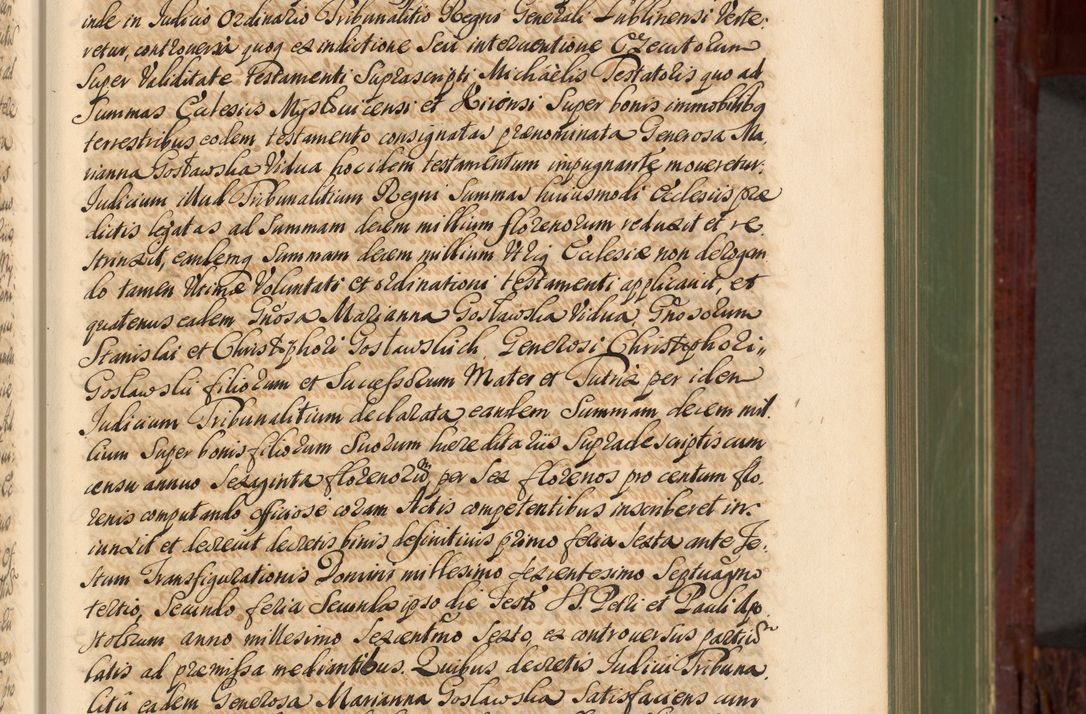 Zdjęcie nr 100 dla obiektu archiwalnego: Acta actorum episcopalium R. D. Andreae Trzebicki, episcopi Cracoviensis et ducis Severiae de 1679. Volumen VIII