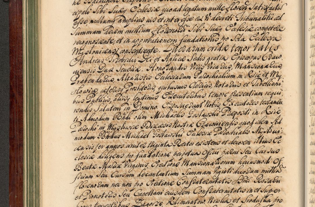Zdjęcie nr 99 dla obiektu archiwalnego: Acta actorum episcopalium R. D. Andreae Trzebicki, episcopi Cracoviensis et ducis Severiae de 1679. Volumen VIII
