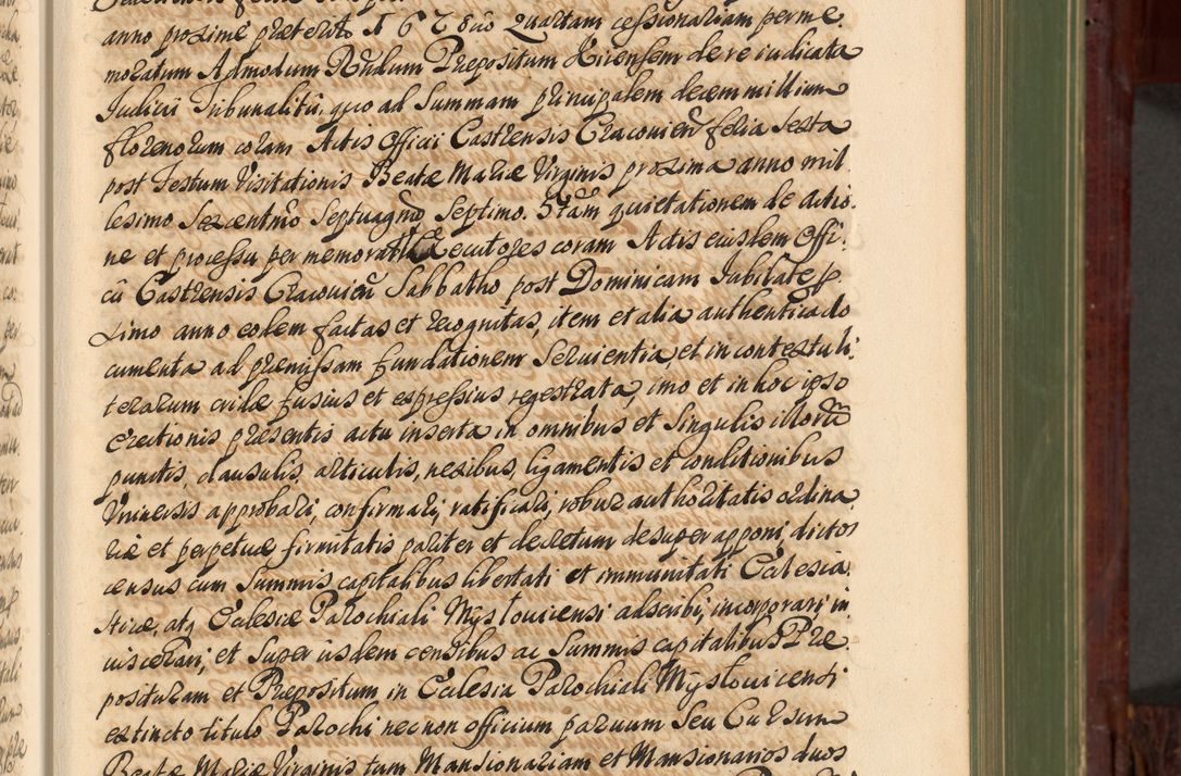 Zdjęcie nr 98 dla obiektu archiwalnego: Acta actorum episcopalium R. D. Andreae Trzebicki, episcopi Cracoviensis et ducis Severiae de 1679. Volumen VIII