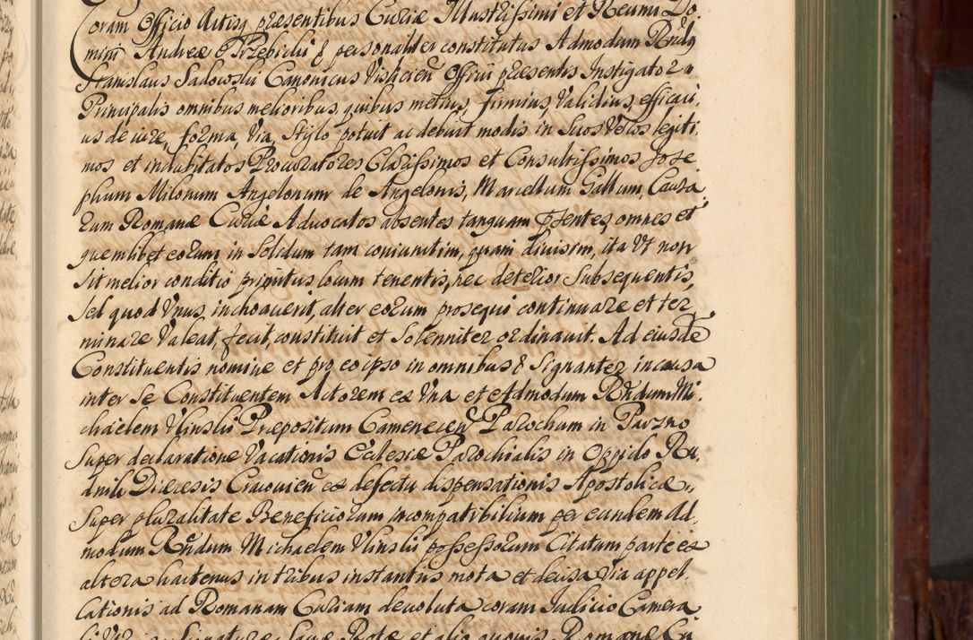 Zdjęcie nr 92 dla obiektu archiwalnego: Acta actorum episcopalium R. D. Andreae Trzebicki, episcopi Cracoviensis et ducis Severiae de 1679. Volumen VIII