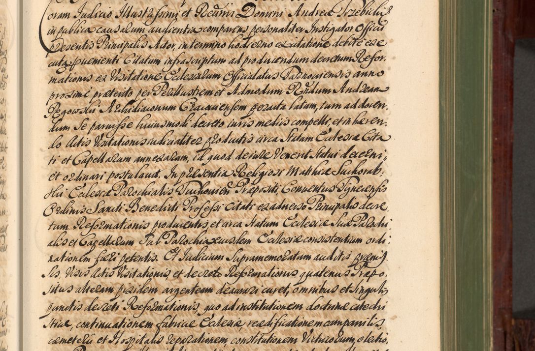Zdjęcie nr 80 dla obiektu archiwalnego: Acta actorum episcopalium R. D. Andreae Trzebicki, episcopi Cracoviensis et ducis Severiae de 1679. Volumen VIII