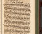 Zdjęcie nr 64 dla obiektu archiwalnego: Acta actorum episcopalium R. D. Andreae Trzebicki, episcopi Cracoviensis et ducis Severiae de 1679. Volumen VIII
