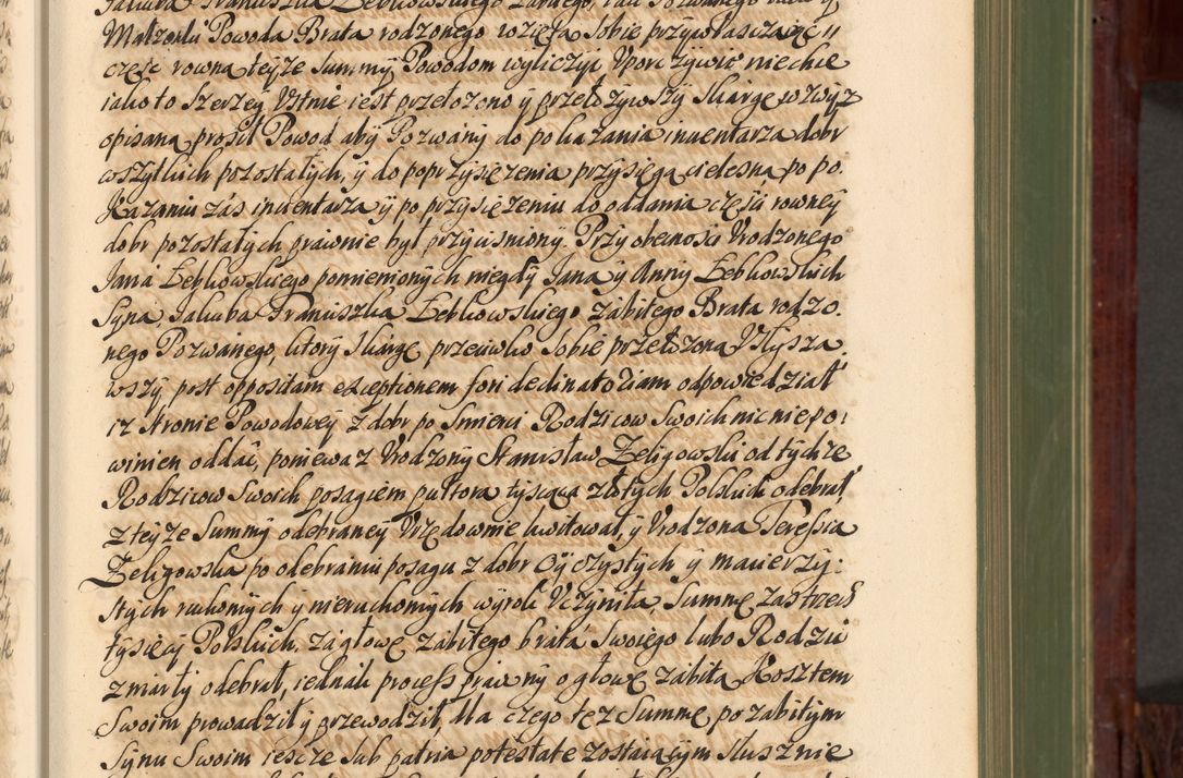 Zdjęcie nr 62 dla obiektu archiwalnego: Acta actorum episcopalium R. D. Andreae Trzebicki, episcopi Cracoviensis et ducis Severiae de 1679. Volumen VIII