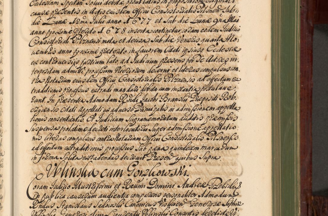 Zdjęcie nr 50 dla obiektu archiwalnego: Acta actorum episcopalium R. D. Andreae Trzebicki, episcopi Cracoviensis et ducis Severiae de 1679. Volumen VIII