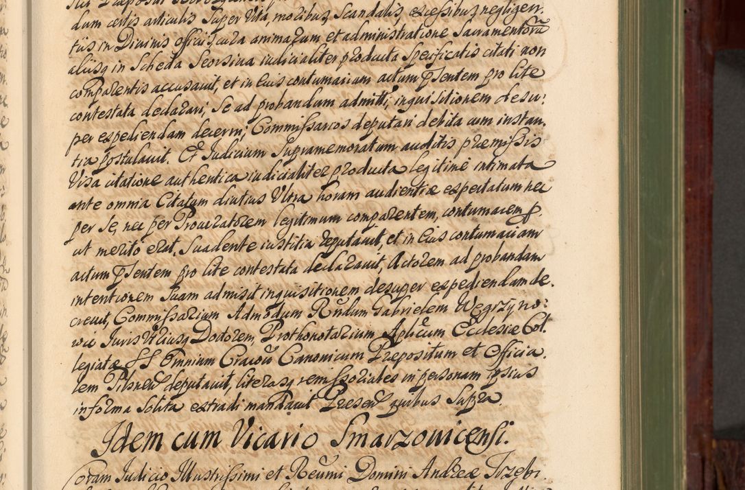 Zdjęcie nr 34 dla obiektu archiwalnego: Acta actorum episcopalium R. D. Andreae Trzebicki, episcopi Cracoviensis et ducis Severiae de 1679. Volumen VIII