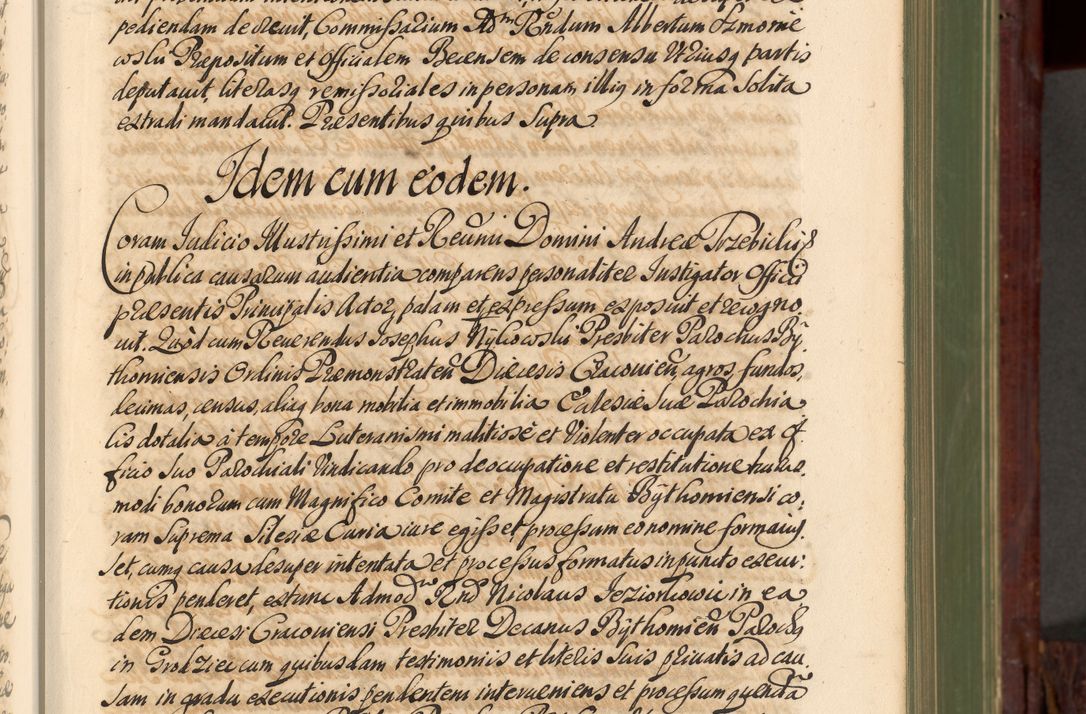 Zdjęcie nr 28 dla obiektu archiwalnego: Acta actorum episcopalium R. D. Andreae Trzebicki, episcopi Cracoviensis et ducis Severiae de 1679. Volumen VIII