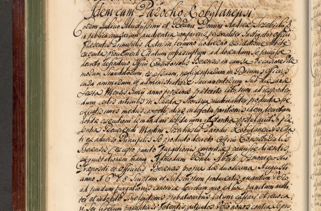Zdjęcie nr 199 dla obiektu archiwalnego: Acta actorum episcopalium R. D. Andreae Trzebicki, episcopi Cracoviensis et ducis Severiae de 1679. Volumen VIII